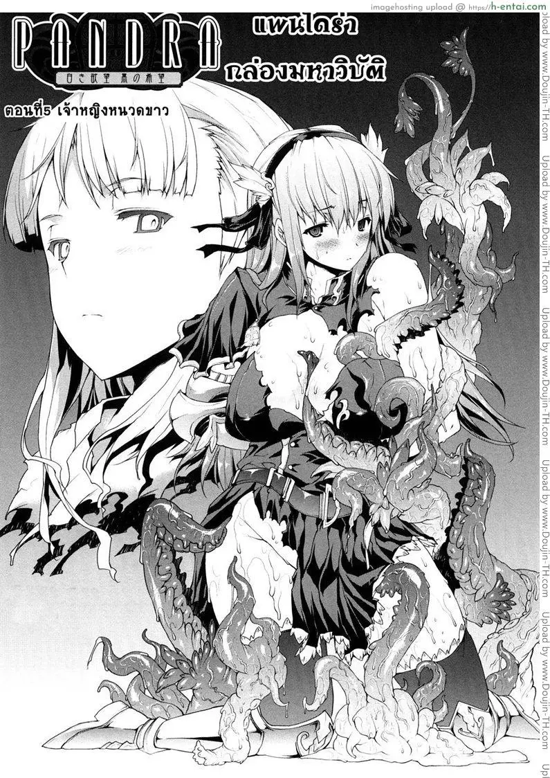 แพนโดร่ากล่องมหาวิบัติ 5 – เจ้าหญิงหนวดขาว