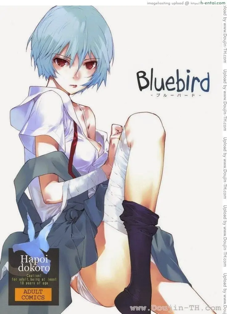 อีวานเกเลียน – นกสีน้ำเงิน (C77) [Hapoi-dokoro (Okazaki Takeshi)] Bluebird (Neon Genesis Evangelion)