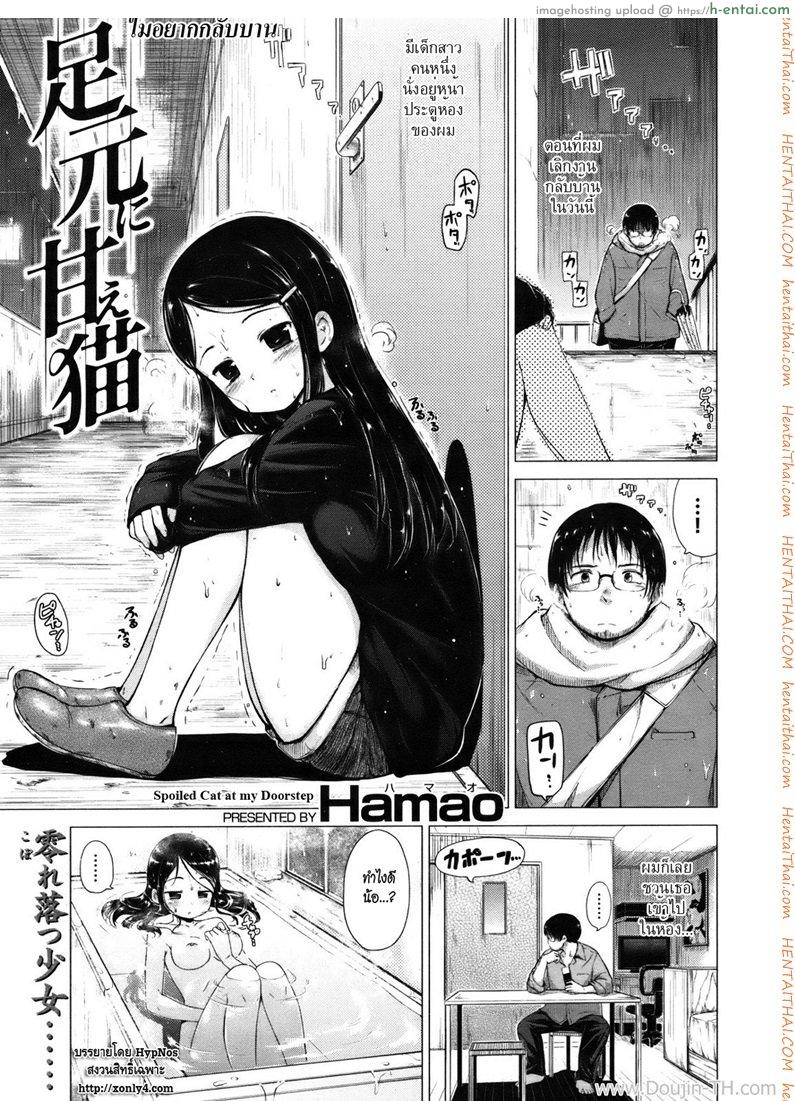 ไม่อยากกลับบ้าน Spoiled Cat at my Doorstep