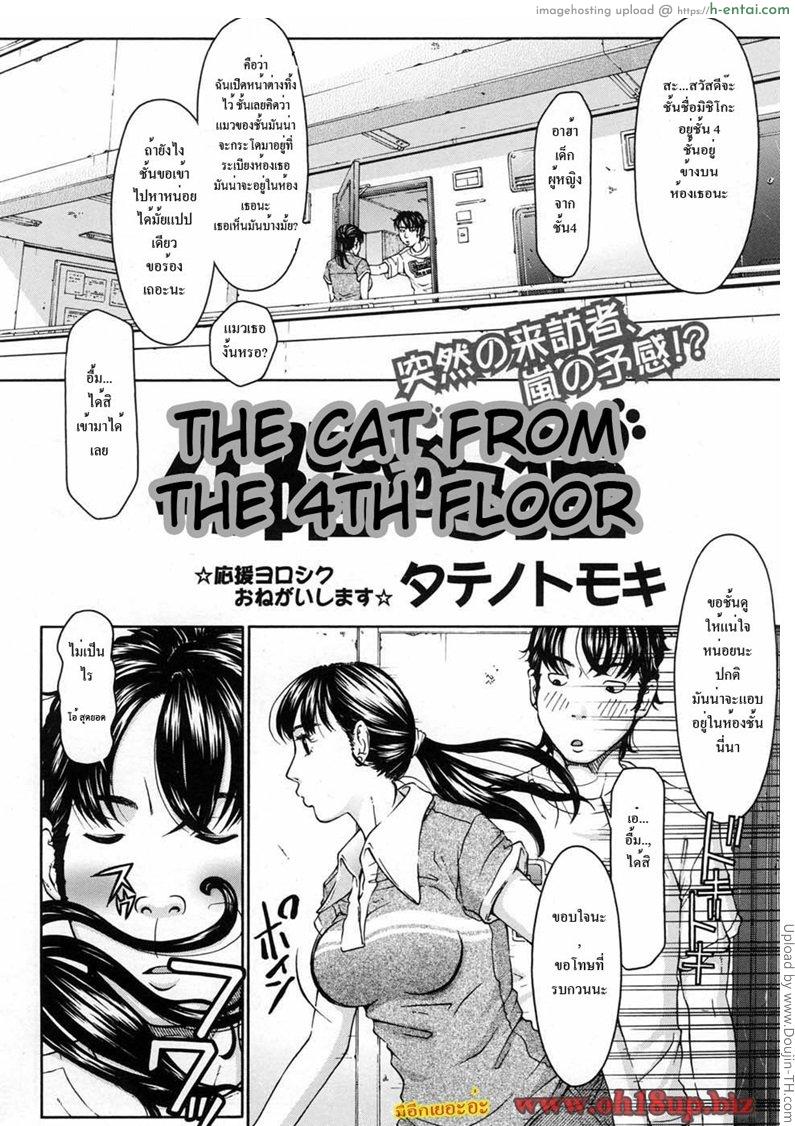 อ่านโดจิน แมวพาสาวมาให้อึ้บ The Cat From The 4th Floor หน้า 2