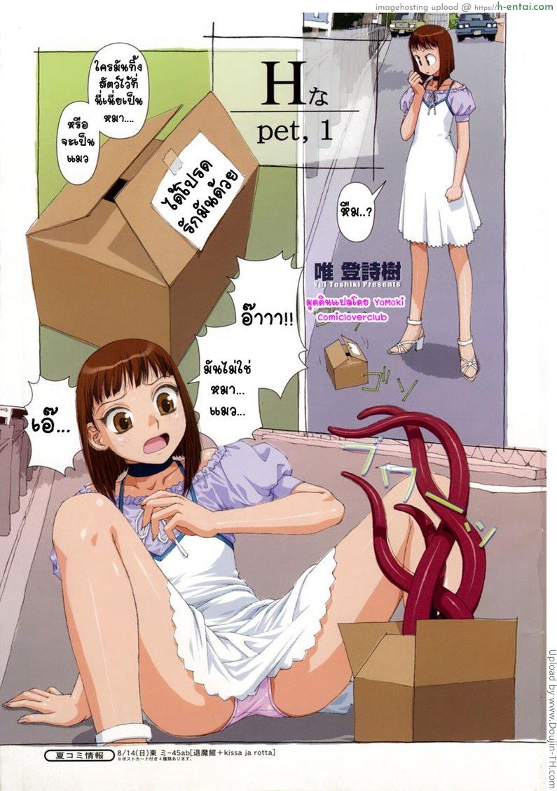 เทพหนวด 1 H Pet