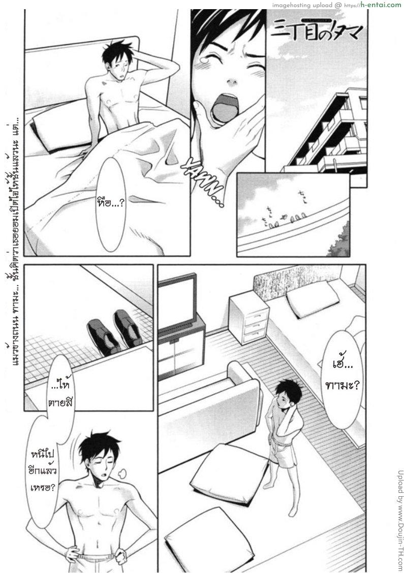 แมวข้างถนน 3 จบ – ที่พักพิง Tama from Third Street Ch.3