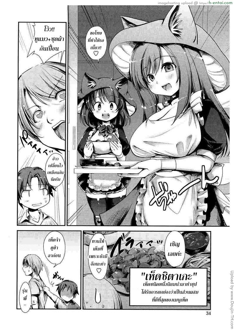 อ่านโดจิน พันธ์ผสมหัดลองเสียว 3 – ชิตาเกะ Nekokino to Ame no Machi 3 หน้า 6