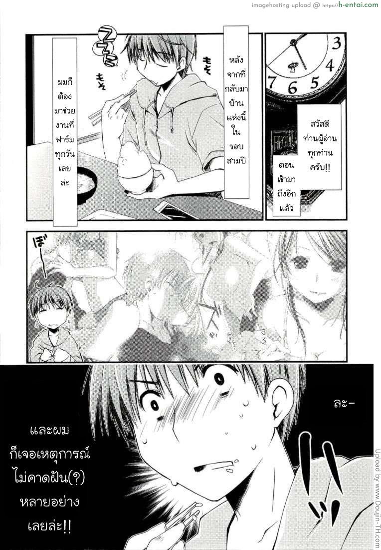 ภูมิแพ้กรุงเทพ 3 – คุณพยาบาล Colorful Harvest 3