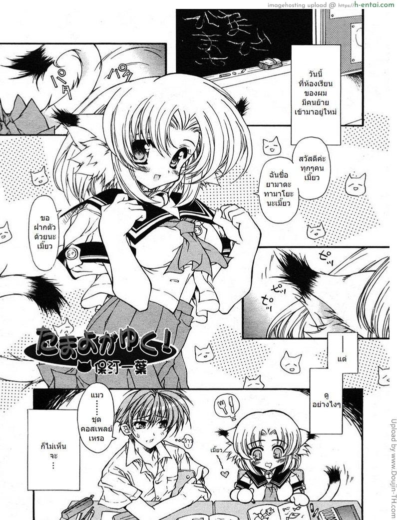 ยัยหูแมว กับนายหูคน Cat ear and human ear