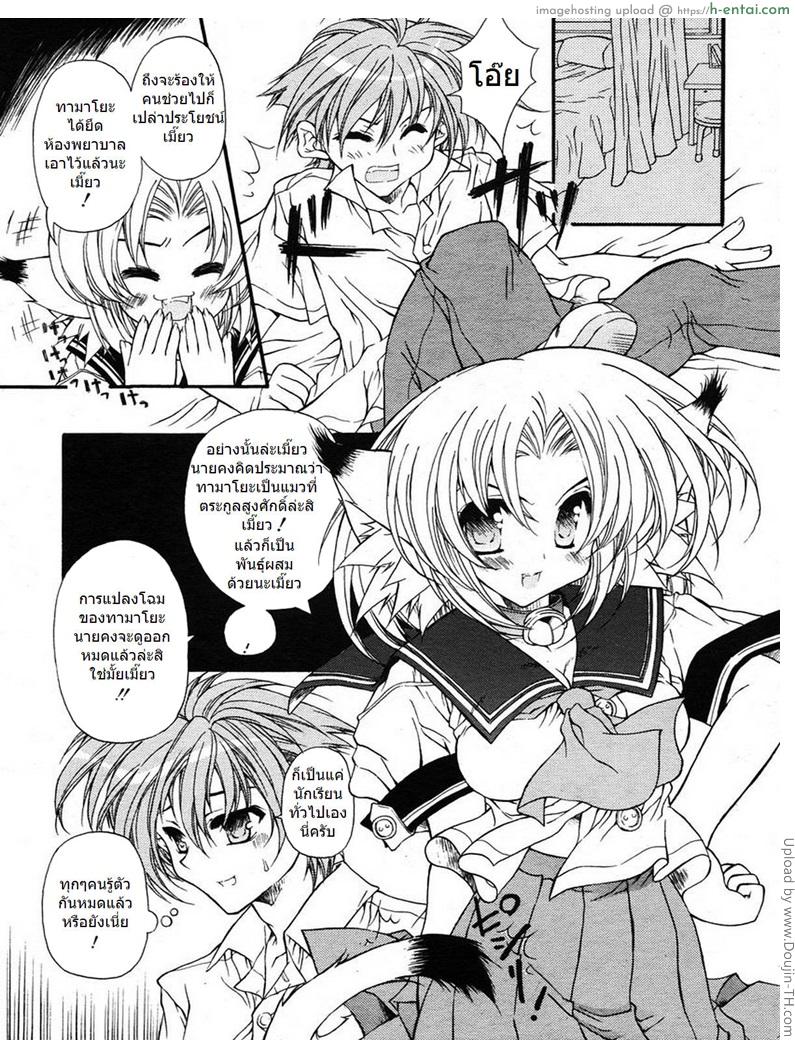 อ่านโดจิน ยัยหูแมว กับนายหูคน Cat ear and human ear หน้า 3
