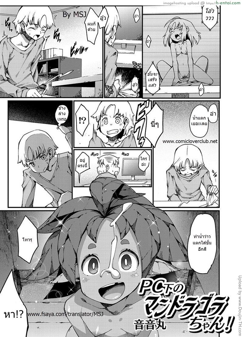 อาหารของชั้น คือน้ำว่าว Mandoragora under the PC!