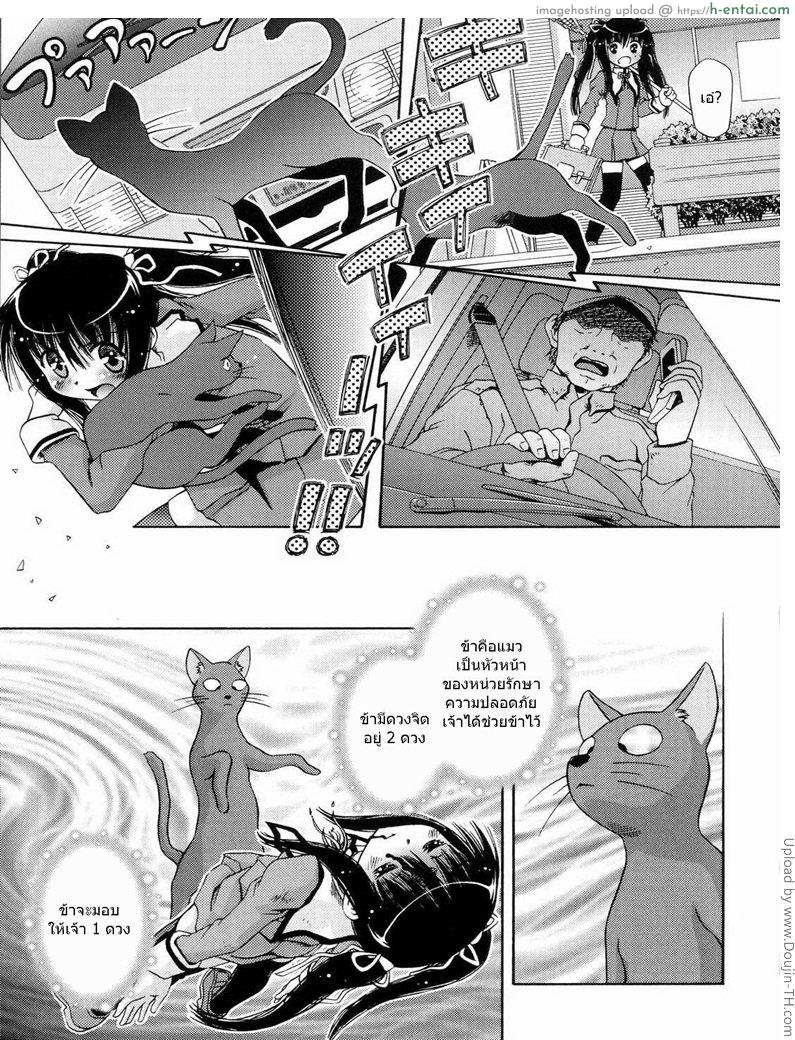 เมื่อน้องสาวกลายเป็นแมว Cat a Nyanderful World