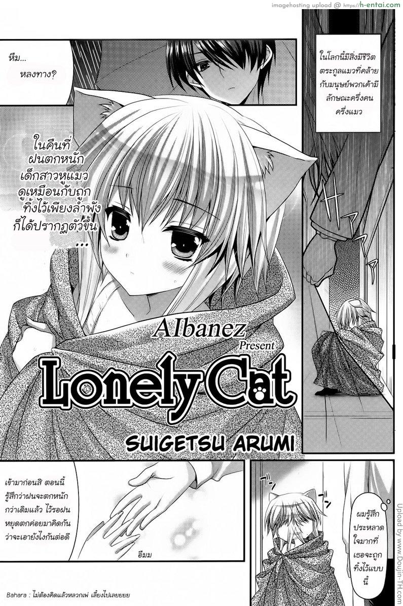 ข้อดีของการเลี้ยงแมว Lonely Cat