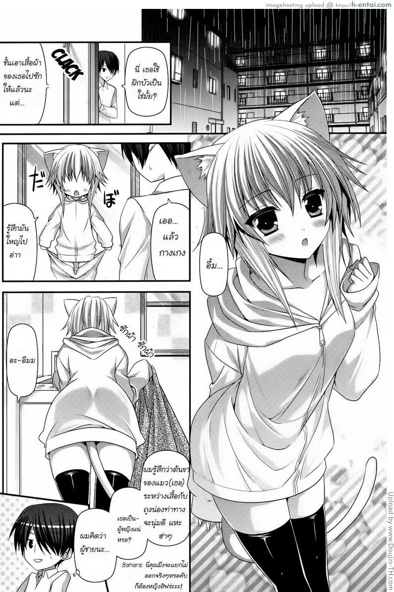 อ่านโดจิน ข้อดีของการเลี้ยงแมว Lonely Cat หน้า 2