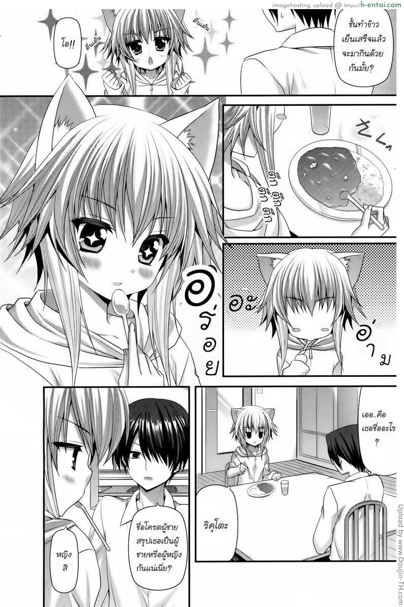 อ่านโดจิน ข้อดีของการเลี้ยงแมว Lonely Cat หน้า 3