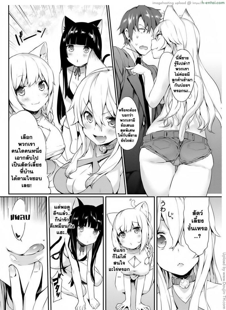 อ่านโดจิน ปฏิบัติการ เมี๊ยว เมี๊ยว พิชิตรัก Nyan Nyan Dai Sakusen – Nyan nyan operation หน้า 3