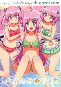 ชายที่เหมาะสม Hame Tora Full