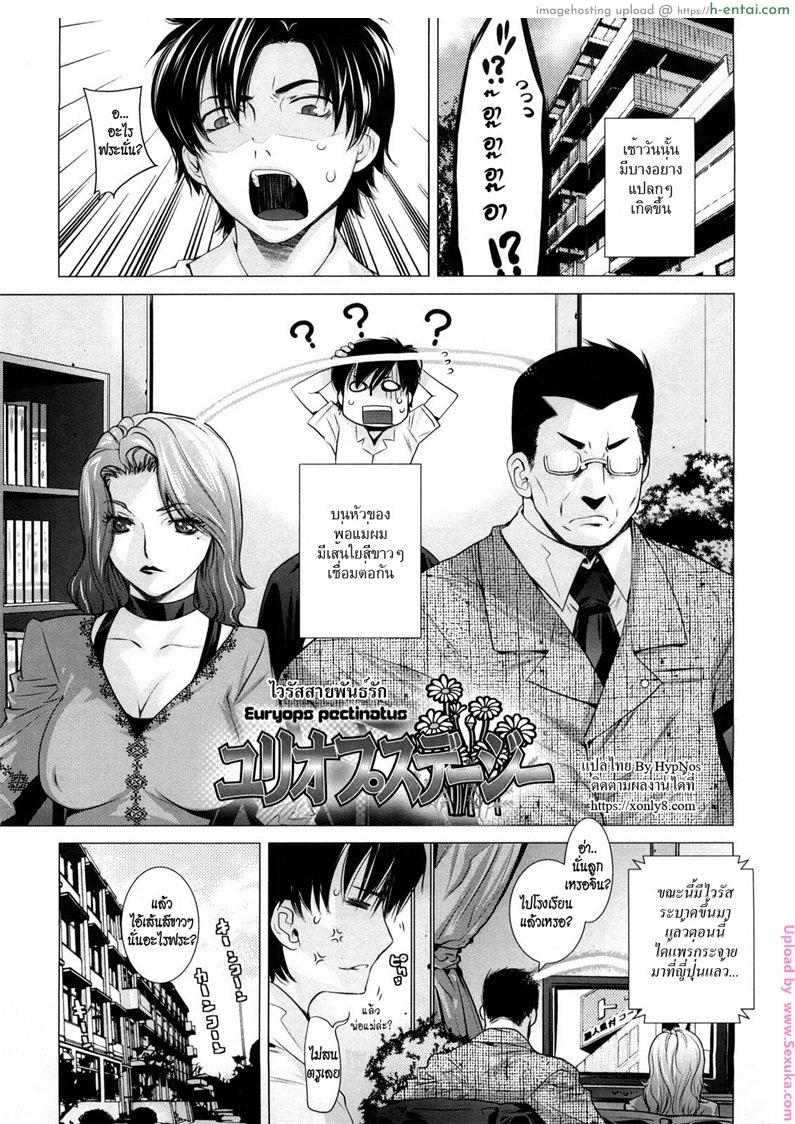 ไวรัสสายพันธ์รัก [Otsuka Kotora] Euryops Daisy (Angraecum)