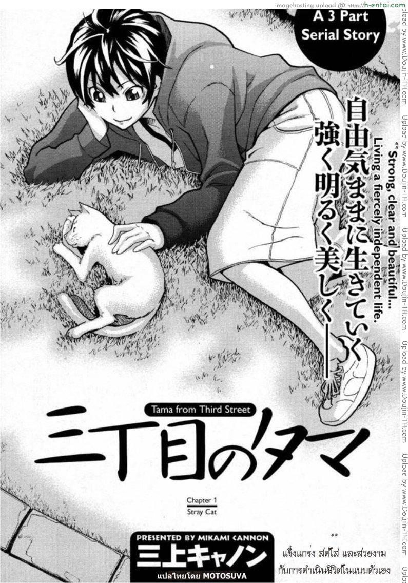 รักสาวริมทาง 1 [Mikami Cannon] Tama From Third Street 01