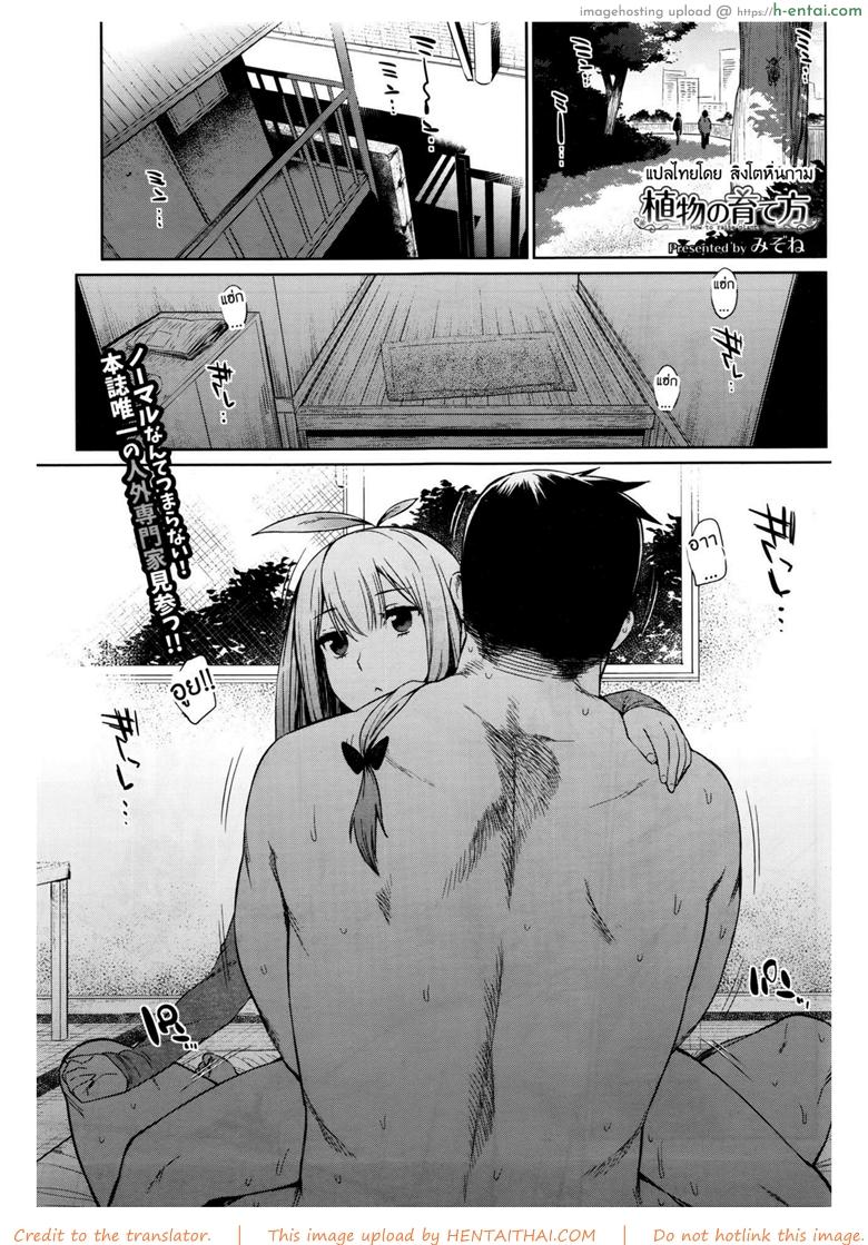 รักต้นไม้วันละนิด ชีวิตเบิกบาน [Mizone] Shokubutsu no Sodatekata – How to raise plants (COMIC BAVEL 2016-04)