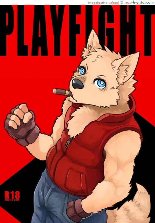 สู้กันแบบลูกผู้ชาย (FF29) [KUMAK.COM (KUMAK)] PLAY FIGHT