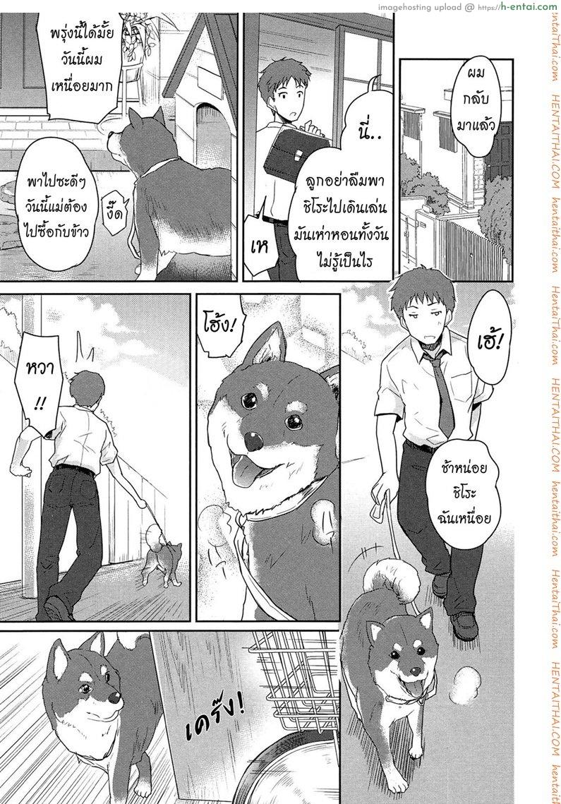 อ่านโดจิน แฟนผมเป็นน้องหมา [Tohgarashi Hideyu] Wonderful Girl Ch.1 หน้า 3