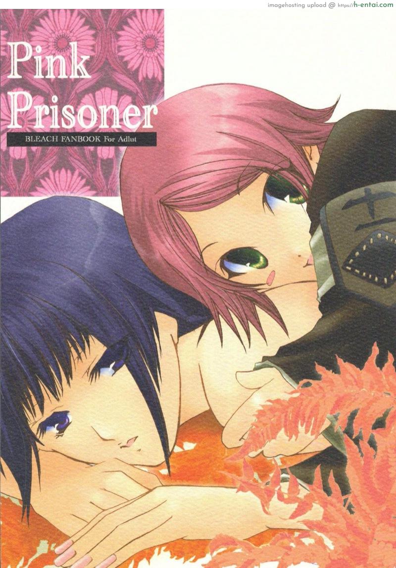 ขออภัยที่เสียบเธอ [CHAGASHI SAIBAN (Yamabuki Mook)] Pink Prisoner (Bleach)