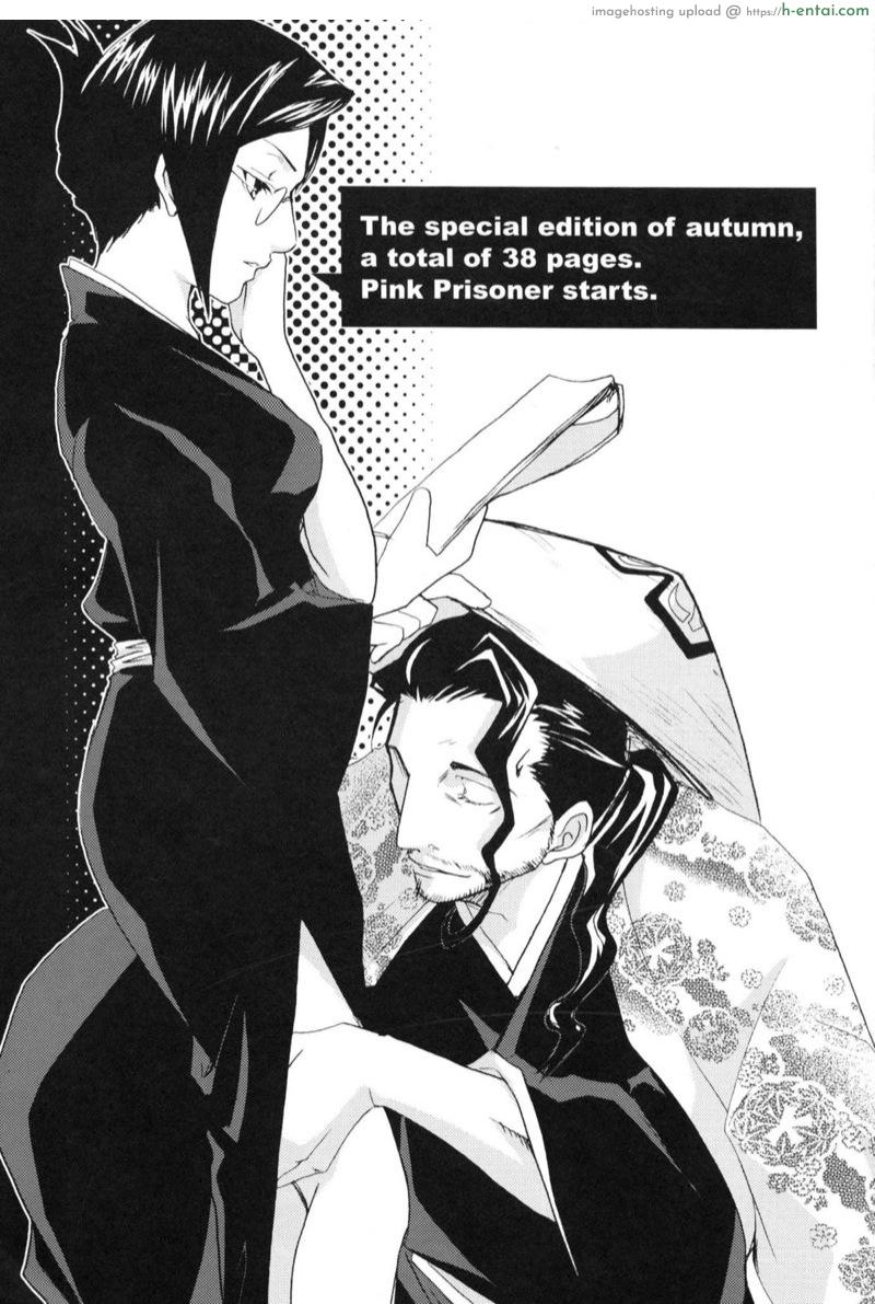 อ่านโดจิน ขออภัยที่เสียบเธอ [CHAGASHI SAIBAN (Yamabuki Mook)] Pink Prisoner (Bleach) หน้า 2