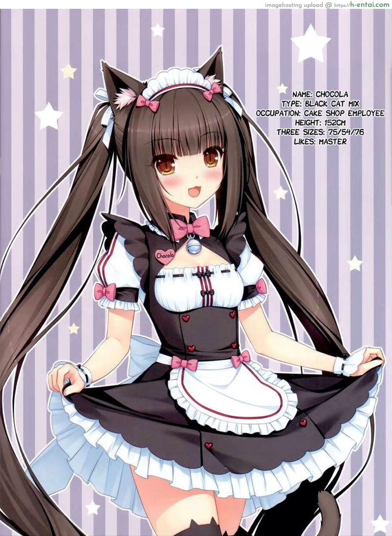 อ่านโดจิน รับรองได้ นายต้องชอบ (C84) [NEKO WORKs (Sayori)] Neko Para 01 หน้า 2