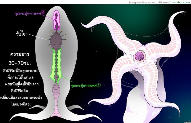 อ่านโดจิน ขอสเปิร์มสักหน่อยน้า [Tonchisuke] Sperm Creature on Male (English) หน้า 2