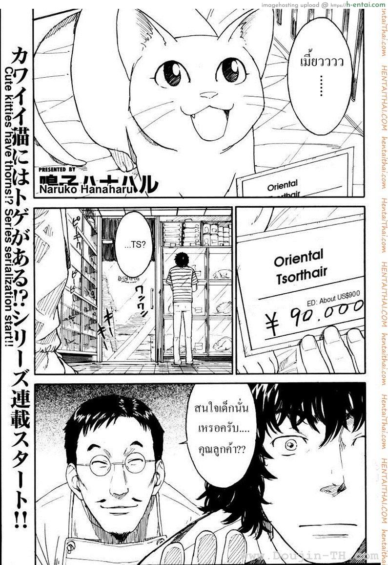 เนเนะ นางแมวสาว 1 [Naruko Hanaharu] Nene Ch.1