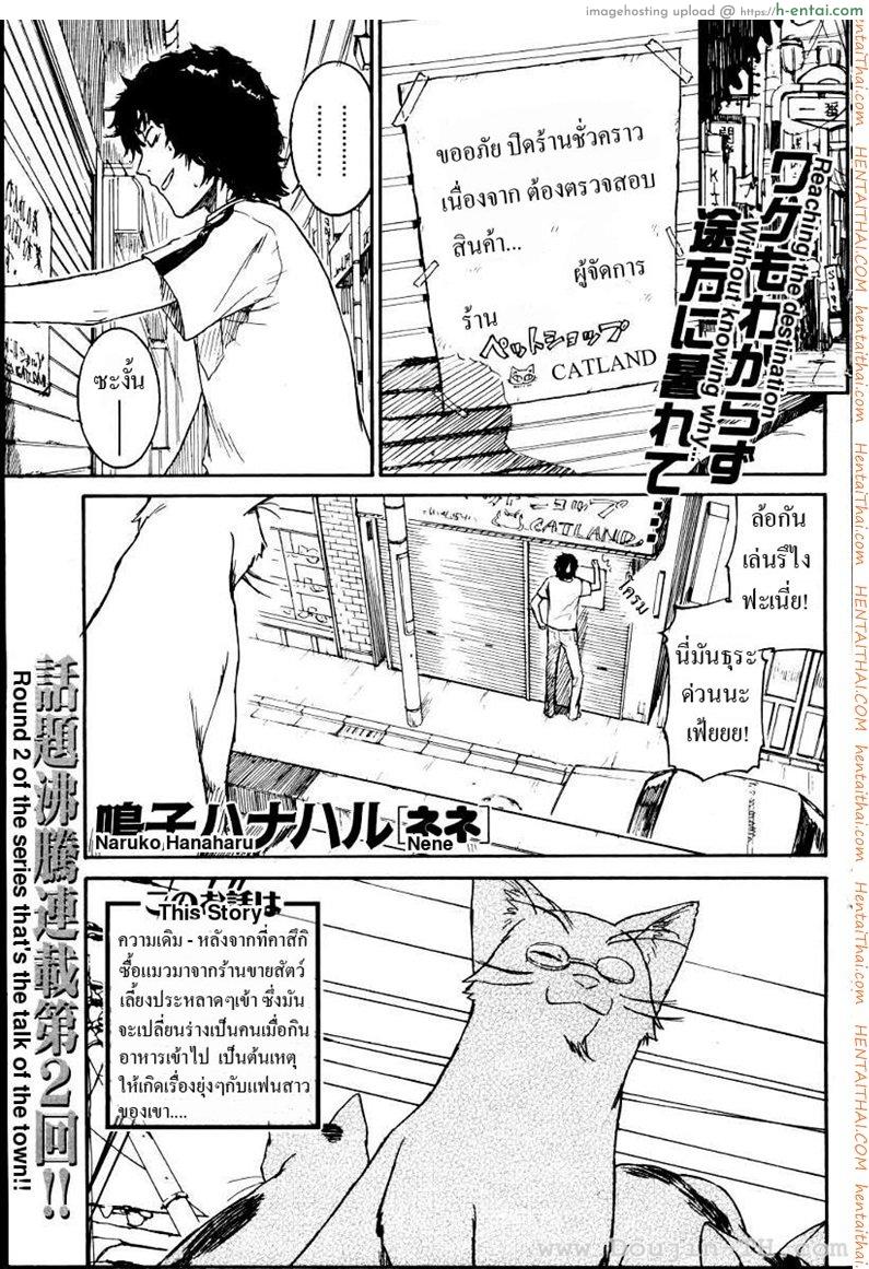 เนเนะ นางแมวสาว 2 [Naruko Hanaharu] Nene Ch.2