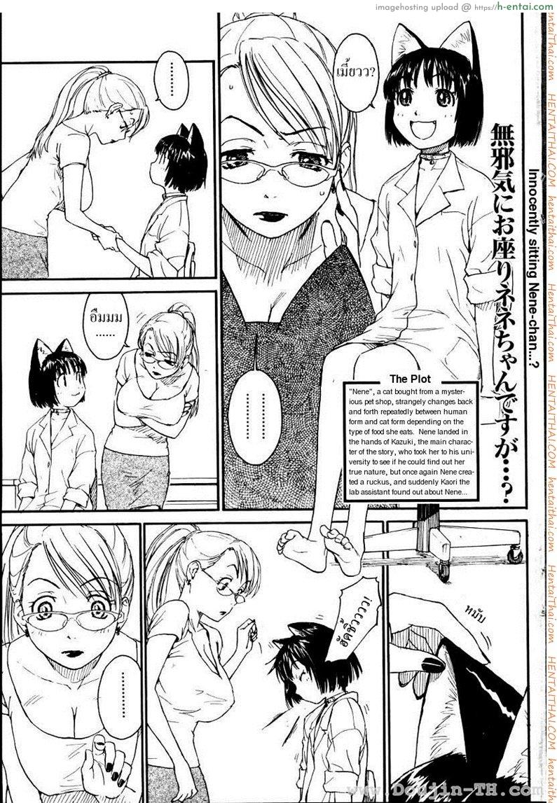 เนเนะ นางแมวสาว 4 [Naruko Hanaharu] Nene Ch.4