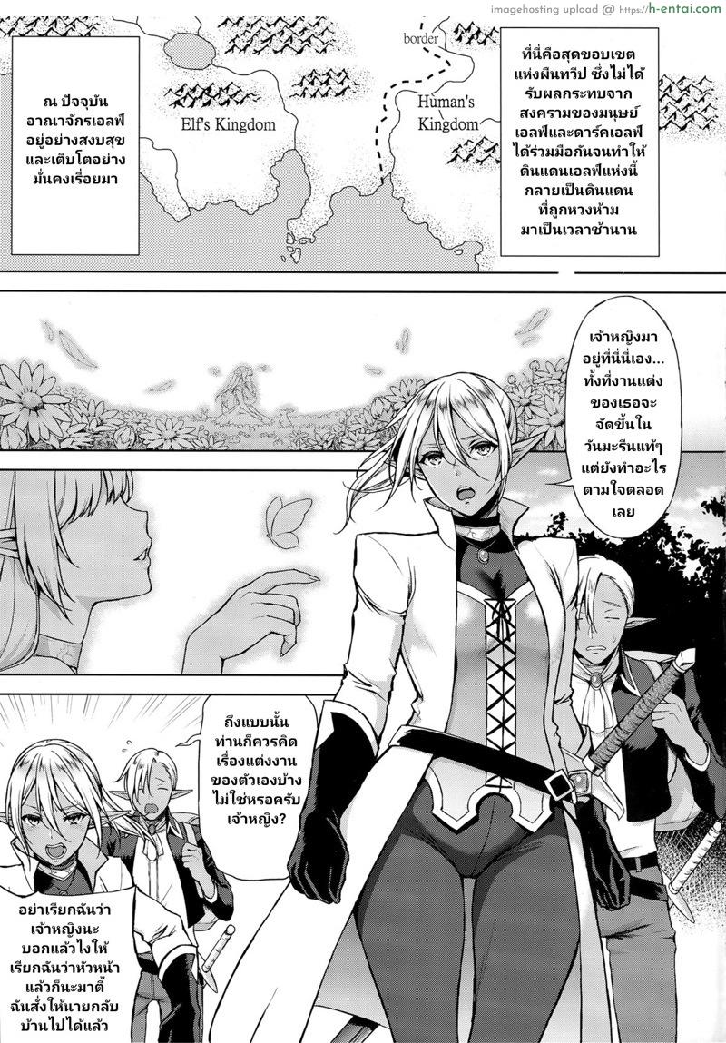 อ่านโดจิน ทาสกามเจ้าหญิงเอลฟ์ (C87) [H.B.A (Usagi Nagomu)] Elf no Hime wa Kairaku ni Naku หน้า 2