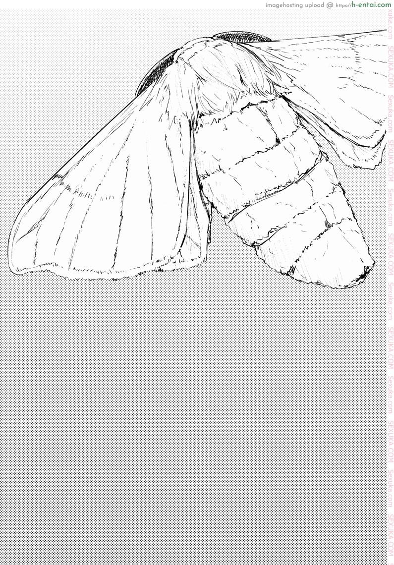 อ่านโดจิน ลำนำรักภูตราตรี 2 (COMIC1☆9) [Sakekan Memorial (SOLOPIPB)] Shiragasane -Tamoto- | Layers of White 2 หน้า 2