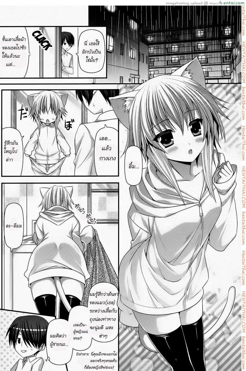 อ่านโดจิน สาวน้อยหูแมว [Suigetsu Arumi] Lonely Cat (Comic Potpourri club 12-2012) หน้า 2