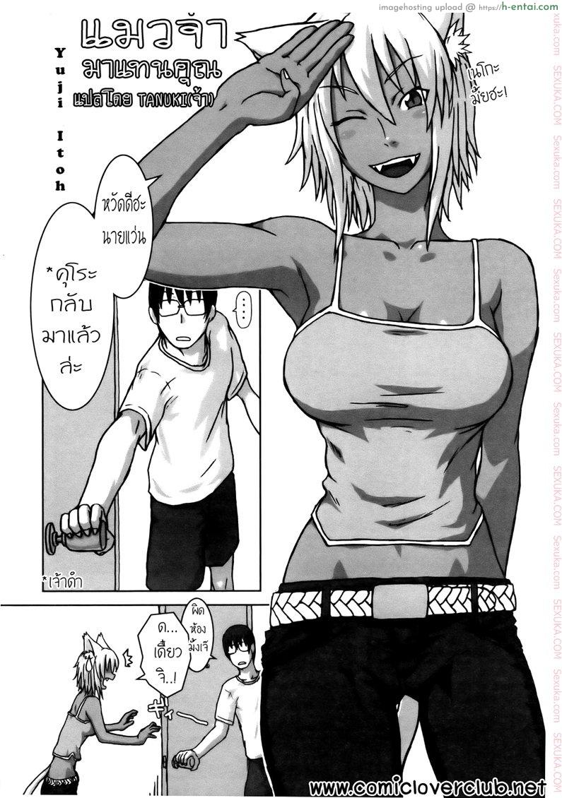 อ่านโดจิน แมวจ๋า มาแทนคุณ [Itou Yuuji] Neko ga Ongaeshi? | The Cat Returns (Comic POT 2005-07) หน้า 2