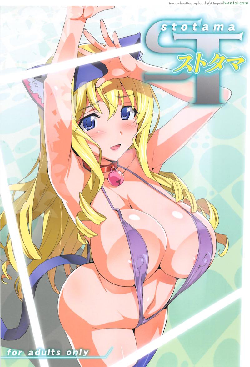 เปลี่ยนเป็นแบบที่เราชอบ (C84) [Shinjugai (Takeda Hiromitsu)] Sutotama (IS )