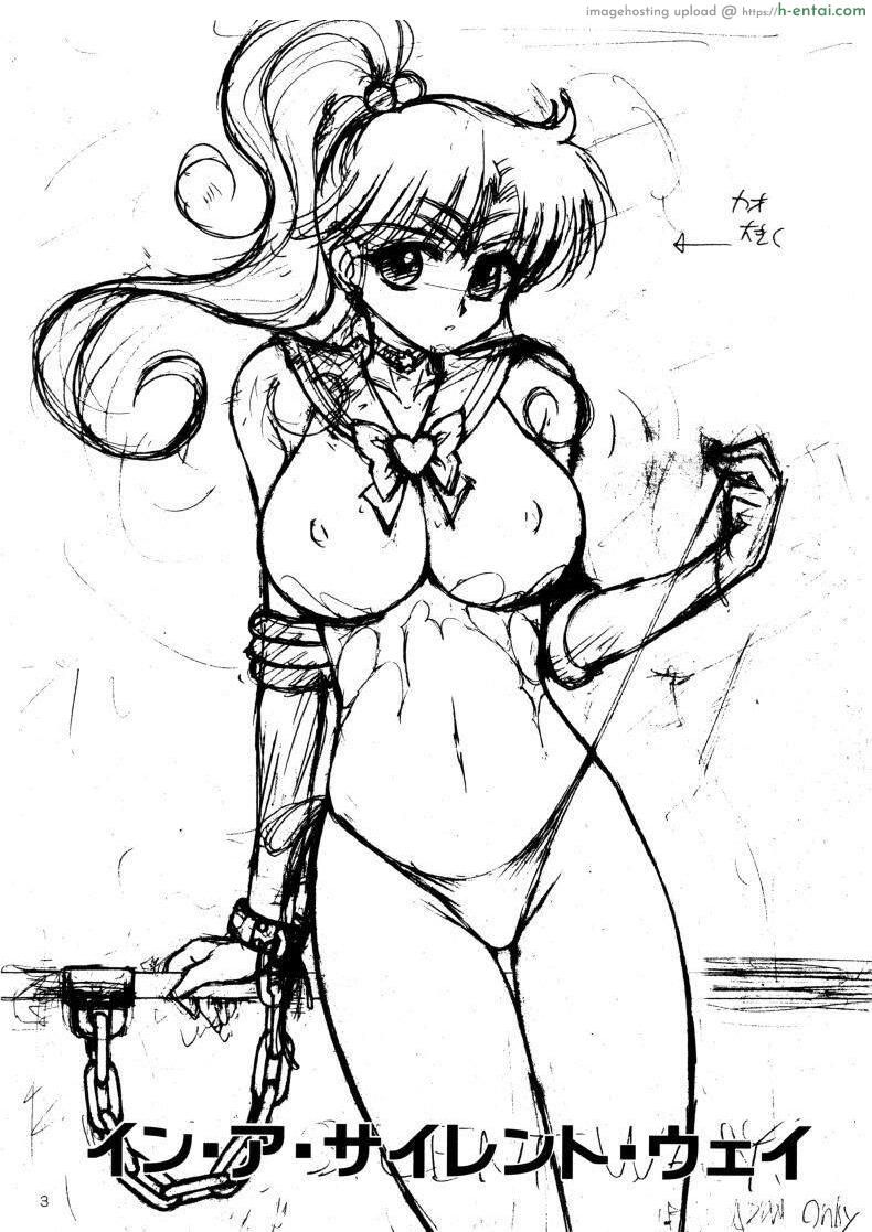 อ่านโดจิน เจอแบบนี้ ก็ดีแตก [BLACK DOG (Kuroinu Juu)] In A Silent Way (Bishoujo Senshi Sailor Moon) หน้า 2