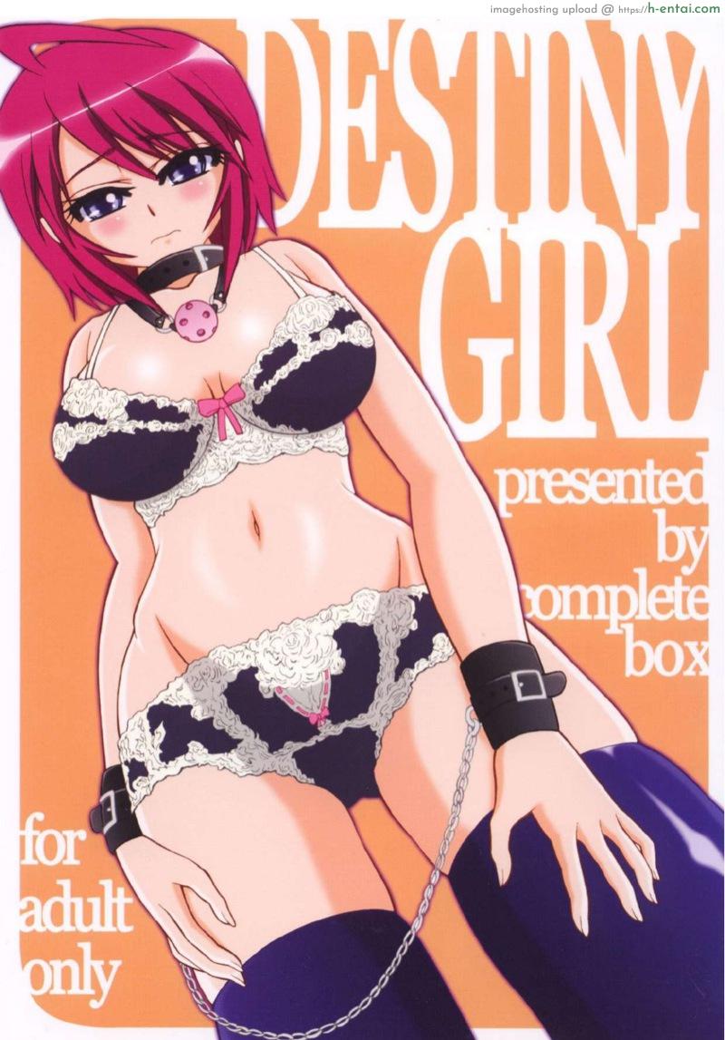 สู้เขาลูน่า [Complete Box (Ayakawa Hisashi) DESTINY GIRL (Gundam SEED DESTINY)