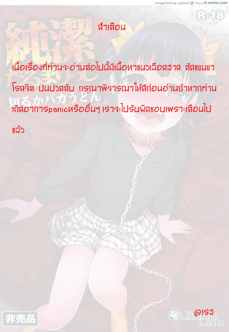 อ่านโดจิน อามิริจัง (เลือดสาด) [Shiruka Bakaudon] Junketsu Darumarriage | A Pure Darumarriage หน้า 2
