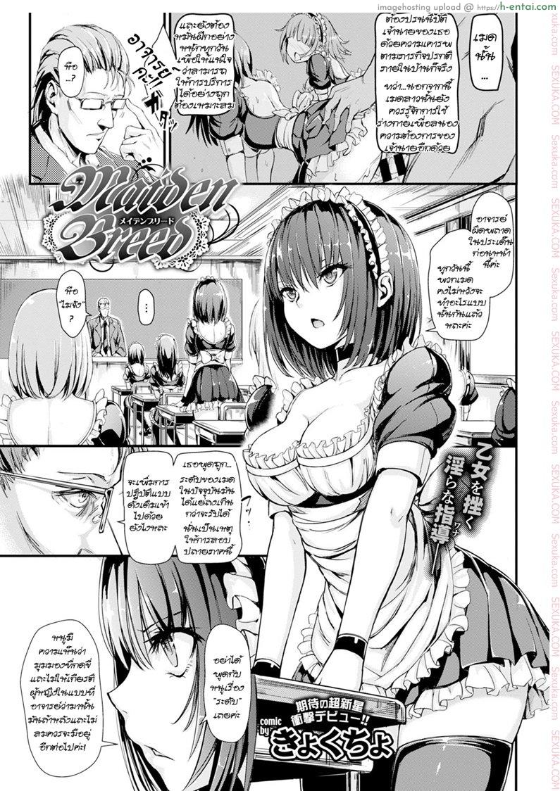 การทดสอบ สุดยอดเมด [kyockcho] Maiden Breed