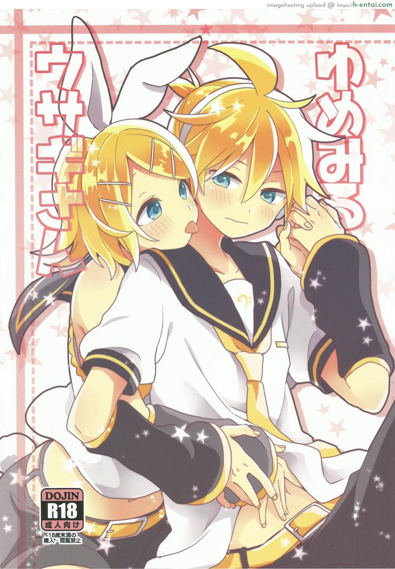 คุณกระต่ายเห็นฝัน (VOCALOID PARADISE Bangaihen 8) [Wonderland (suzumi)] Yume Miru Usagi-san (VOCALOID)