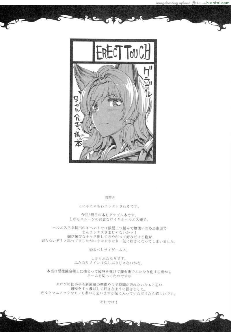 อ่านโดจิน สาวน้อยดีของฉัน (C90) [ERECT TOUCH (Erect Sawaru)] The Dogs (Granblue Fantasy) หน้า 2