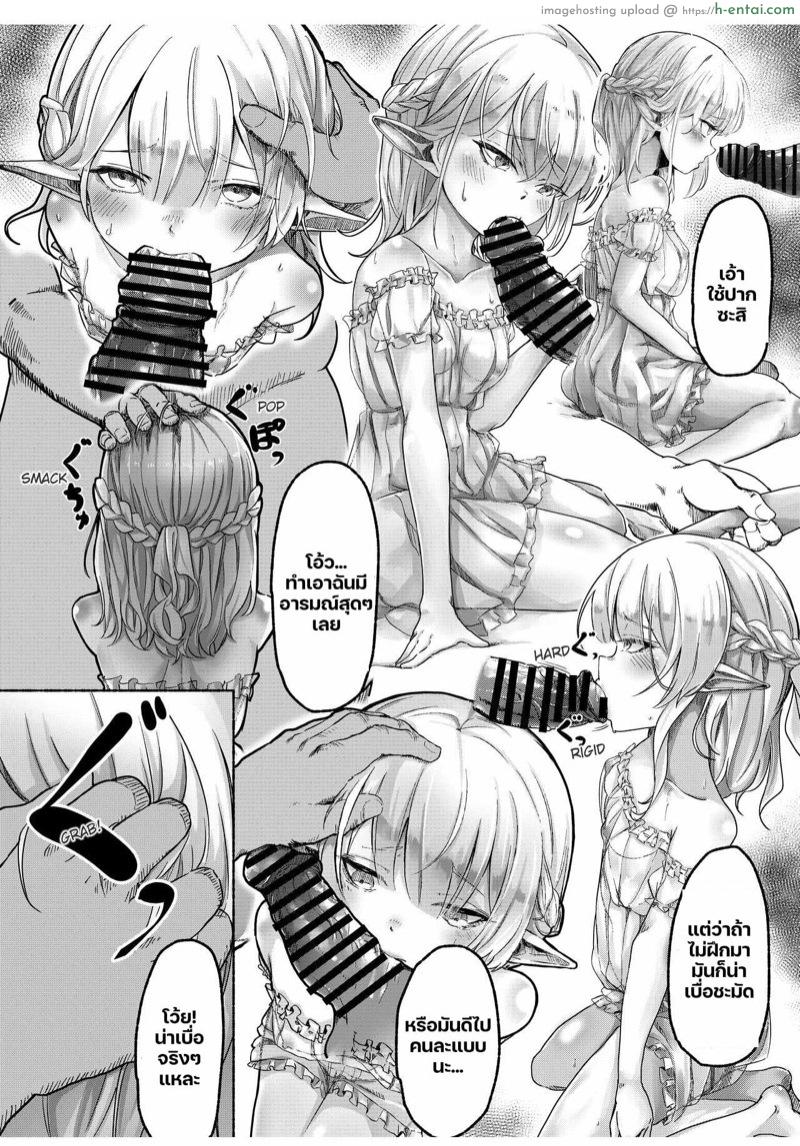 อ่านโดจิน เอลฟ์ผู้น่าสงสาร 1 [Beauty Salon B & S (BS3)] Elf o Okasu Hon | A Book About Raping an Elf หน้า 3