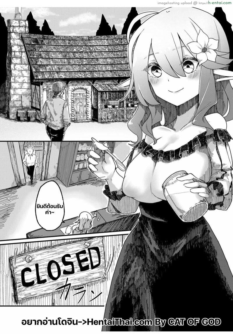 อ่านโดจิน เอลฟ์ผู้น่าสงสาร 2 [Beauty Salon B & S (BS3)] Elf o Okasu Hon 2 | A Book About Raping an Elf 2 หน้า 3