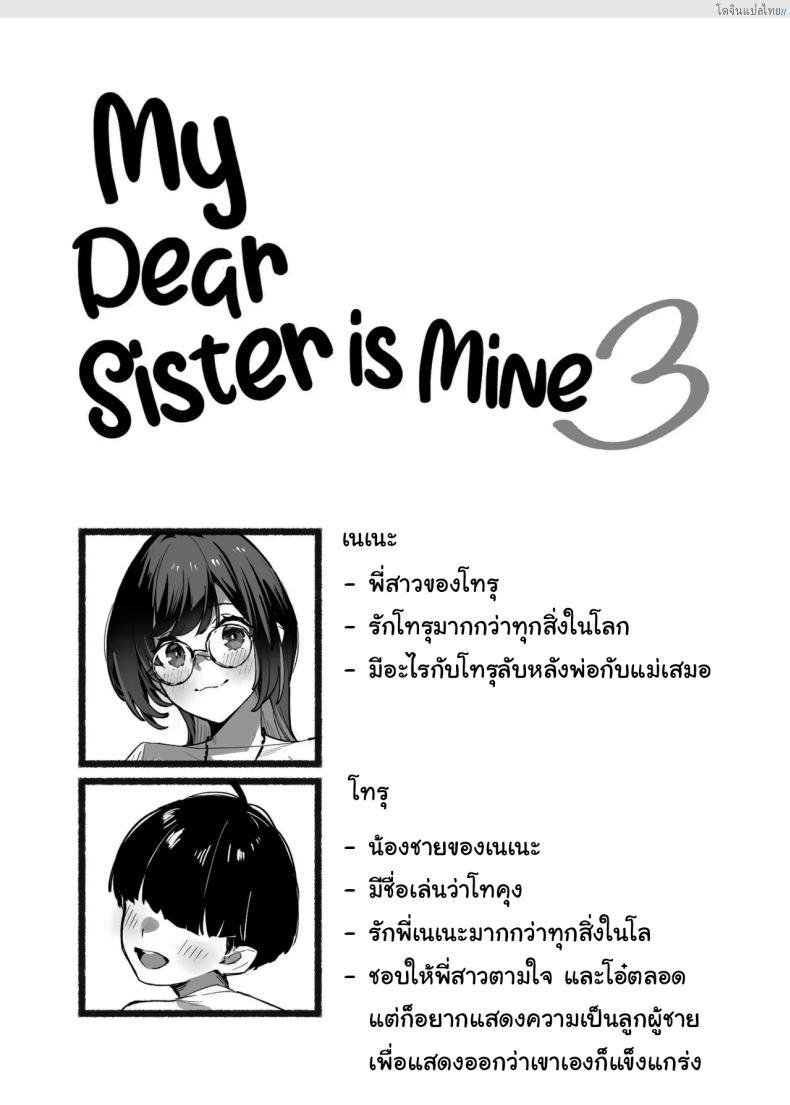 อ่านโดจิน พี่สาวสุดรัก ของผมคนเดียว ฟินแบบลับๆ! 3 [Dai-kotetsu Dan (92M)] Boku no Onee-chan – My dear Sister is Mine หน้า 2